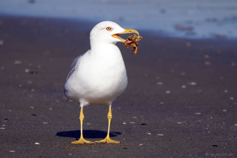 1405