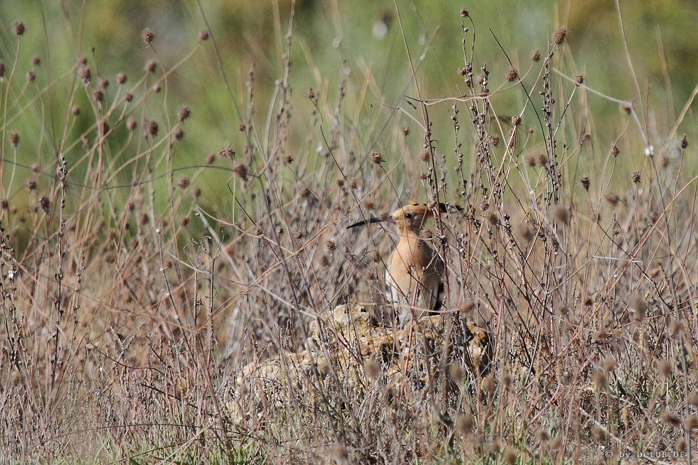 407