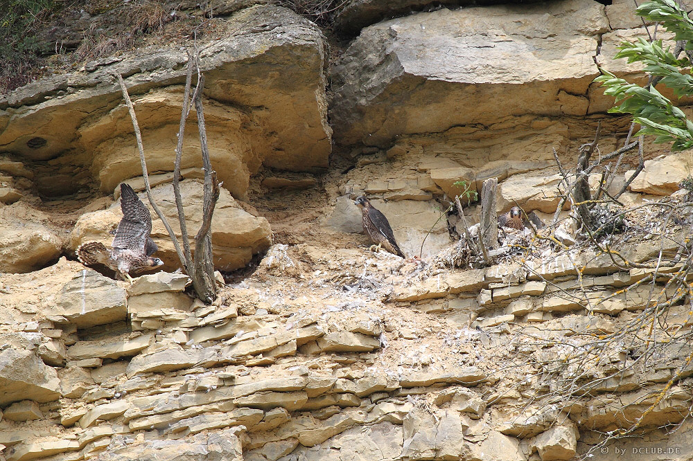 139