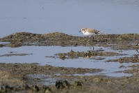 2013_SpDE_see_01.JPG