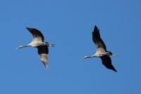 2015-11-20_FR_LacDuDar_11.JPG