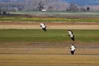 2015-11-20_FR_LacDuDar_23.JPG