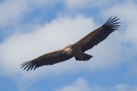 2016-09-29_ES_Gr_01.JPG