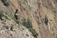 2016-09-29_ES_Gr_11.JPG