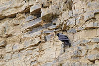 STe-2011-04002.JPG