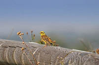 bb_u006.JPG